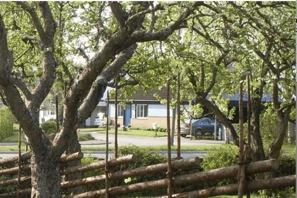 Olika typer av stakettmaterial - tryckimpregnerat trä, lärk och metall